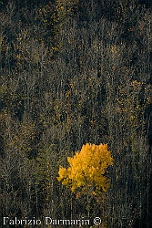 Casentino - Autunno