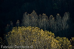 Casentino - Autunno