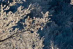 Inverno - galaverna