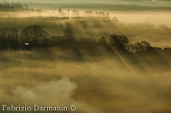 nebbia sui campi intorno casa