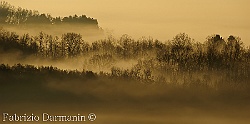 nebbia nei campi intorno casa